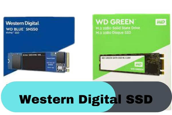 Western Digital SSD Price